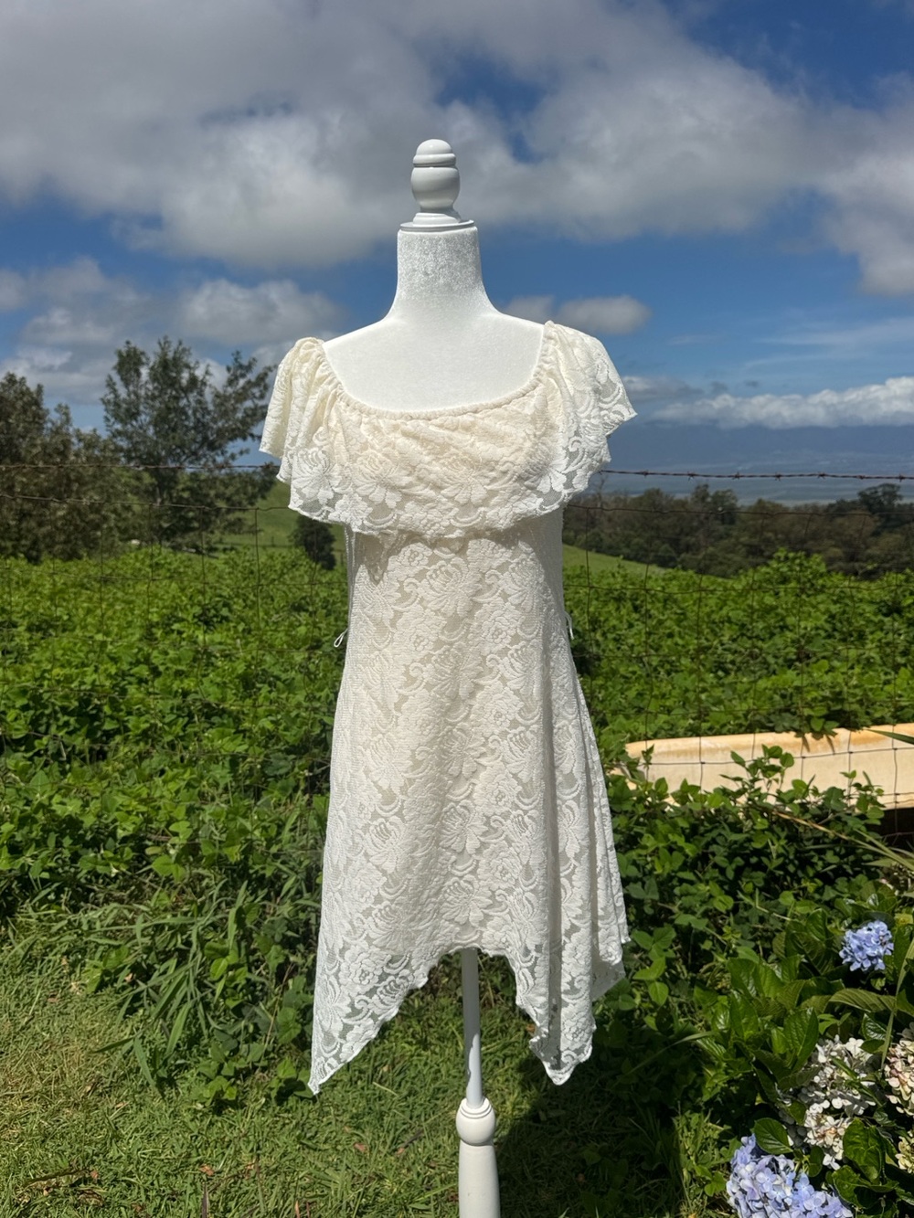 Feminine lace asymmetrical hem off-white dress
Auw small